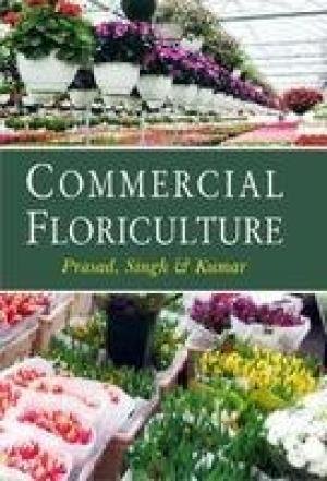 Stock image for Scented Rices of Uttar Pradesh and Uttaranchal for sale by Books Puddle