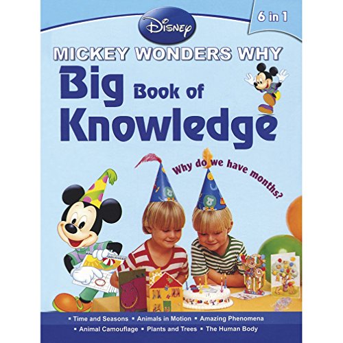 Stock image for Big Book of Knowledge for sale by Books Puddle