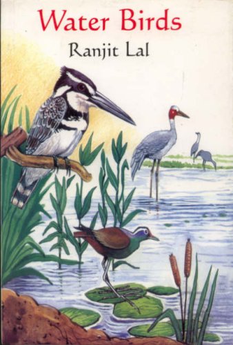 Stock image for Water Birds for sale by WorldofBooks