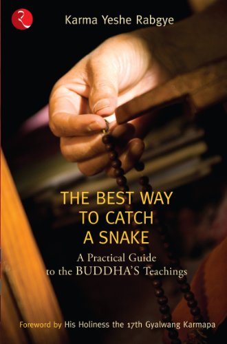 Stock image for The Best Way to Catch a Snake: A Practical Guide to the Buddha's Teachings for sale by WorldofBooks