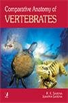9788130904023: Comparative Anatomy Of Vertebrates