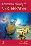 9788130904023: Comparative Anatomy of Vertebrates