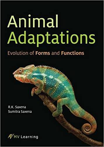 Imagen de archivo de Animal Adaptations a la venta por Books Puddle