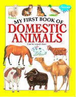 Stock image for My First Book Of Domestic Animal for sale by Better World Books