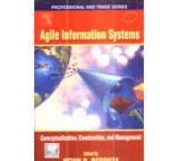 Stock image for Agile Information Systems: Conceptualization, Construction, and Management for sale by dsmbooks