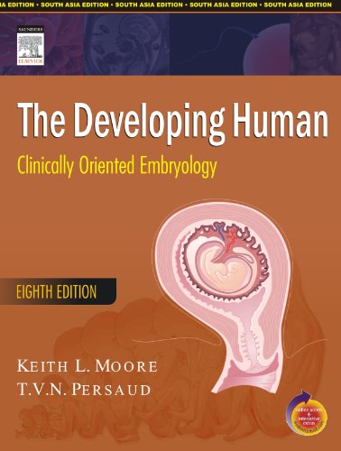 Stock image for The Developing Human for sale by Majestic Books