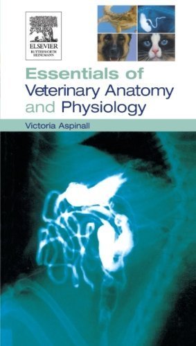 Imagen de archivo de Essentials Of Veterinary Anatomy And Physiology a la venta por Books in my Basket