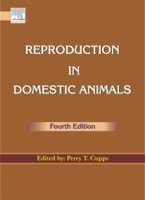 Stock image for Reproduction In Domestic Animals 4th Edition for sale by Books in my Basket