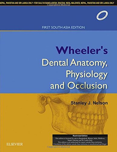 Beispielbild fr Wheeler's Dental Anatomy, Physiology and Occlusion, 1st South Asia Edition zum Verkauf von SecondSale