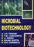Stock image for Microbial Biotechnology for sale by Books Puddle
