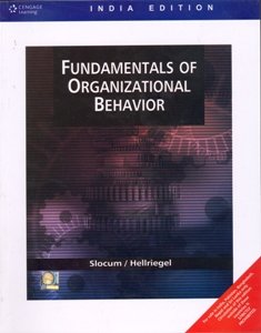 Imagen de archivo de Fundamentals of Organizational Behavior a la venta por Majestic Books
