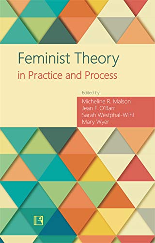 Stock image for FEMINIST THEORY IN PRACTICE AND PROCESS for sale by Books in my Basket