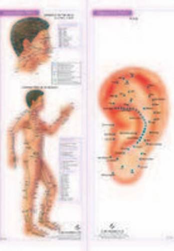 Beispielbild fr ACUPRESSURE and ACUPUNCTURE CHART set of 4 zum Verkauf von Books in my Basket