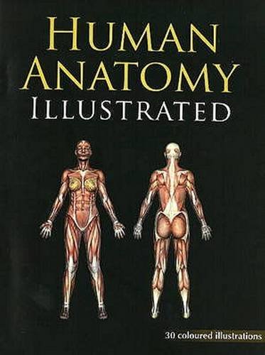 Imagen de archivo de Human Anatomy Illustrated 30 Coloured Illustrations with Marking a la venta por Majestic Books