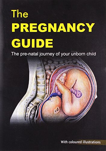 Beispielbild fr Pregnancy Guide: The Pre-Natal Journey of Your Unborn Child zum Verkauf von WorldofBooks