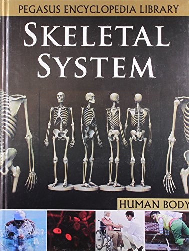 SKELETAL SYSTEM HUMAN BODY(HB)