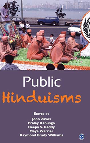 Imagen de archivo de Public Hinduisms a la venta por Ally Press Center