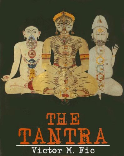 9788170174240: The Tantra