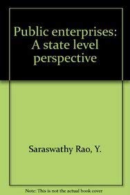 Stock image for Public enterprises, a state level perspective for sale by dsmbooks