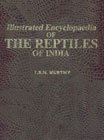 Illustrated Encyclopaedia of the Reptiles of India