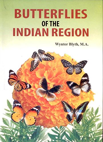 Stock image for Butterflies of the Indian Region for sale by Books in my Basket