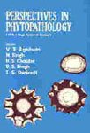 Imagen de archivo de Perspectives in phytopathology: Dr. R.S. Singh festschrift volume a la venta por Mispah books