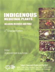 Imagen de archivo de Indigenous Medicinal Plants a la venta por Majestic Books