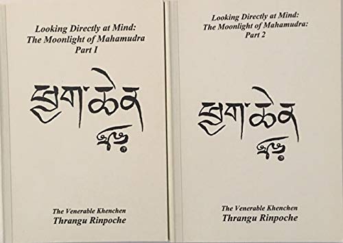 9788170307488: looking-directly-at-mind--the-moonlight-of-mahamudra