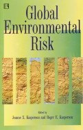 Stock image for GLOBAL ENVIRONMENTAL RISK for sale by Books in my Basket