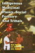 Stock image for Indigenous Medicinal Plants, Social Forestry and Tribals for sale by Books Puddle