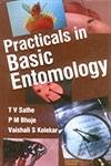 Stock image for Practicals in Basic Entomology for sale by Books Puddle