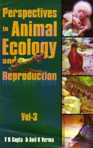 Stock image for Perspectives in Animal Ecology and Reproduction for sale by Books Puddle