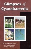 9788170354352: Glimpses of Cyanobateria