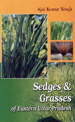 Sedges and Grasses of Eastern Uttar Pradesh in 2 Vols