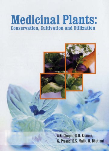 Stock image for Medicinal Plants : Conservation Cultivation and Utilization for sale by Vedams eBooks (P) Ltd