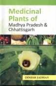 9788170355670: Medicinal Plants of Madhya Pradesh and Chhattisgarh