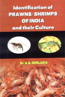 9788170356523: Identification of Prawns/Shrimps and Their Culture