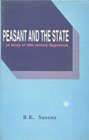 9788170561521: Peasant and the state: A study of 18th century Rajputana