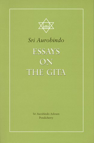 9788170583066: Essays on the Gita