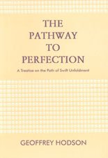 Imagen de archivo de The Pathway to Perfection a la venta por Majestic Books