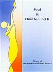 Stock image for Soul and How to Find It for sale by Books Puddle