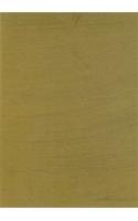 Survey Of Painting In The Deccan (9788170691266) by Stella Kramrisch