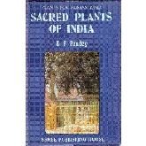 Stock image for Sacred Plants of India for sale by Books in my Basket