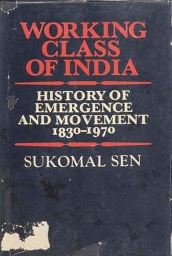 Imagen de archivo de Working class of India: History of emergence and movement, 1830-1990, with an overview upto 1995 a la venta por Mispah books