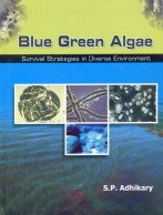 Stock image for Blue Green Algae for sale by Books Puddle