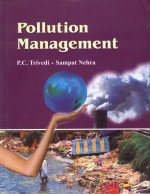 Stock image for Pollution Management for sale by Books Puddle