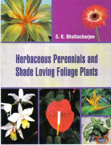 Beispielbild fr Herbaceous Perennials and Shade Loving Foliage Plants zum Verkauf von Books Puddle
