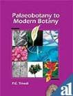 Stock image for Palaeobotany to Modern Botany for sale by Books Puddle
