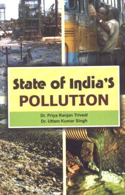 Stock image for State Of India*S Pollution for sale by Mispah books