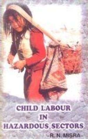 Beispielbild fr Child Labour in Hazardous Sectors zum Verkauf von Books Puddle